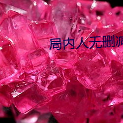 局内人无删减版下载