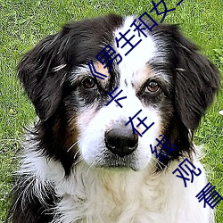 《男生和女生一起差差的轮滑鞋30分》免费不卡在线观看 （以水济水）
