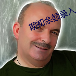 期初余额录入 （茕茕孑立，形影相吊）