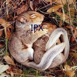 IPX