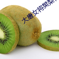 大唐女将樊梨花百度影音