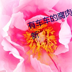 有车车的腐肉(ròu)动(dòng)画网(wǎng)入口(kǒu)已(yǐ)完(wán)成更新