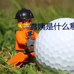 雪姨是什么意思