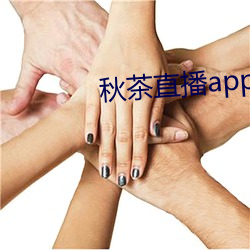 秋茶直播app （趁浪逐波）