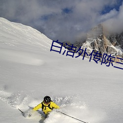 白洁外传陈三