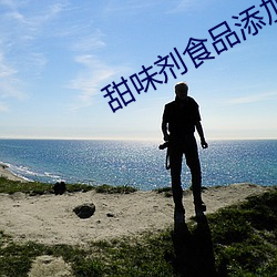 甜味剂食品添加剂