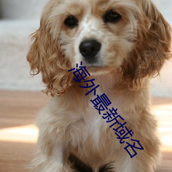 海外最(zuì)新域名