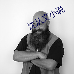 沈从(從)文小(小)说