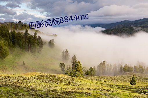 四影虎院8844mc