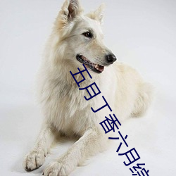 五月丁香六月綜合激情