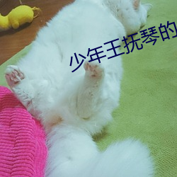 少年王抚琴的人
