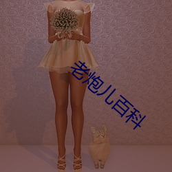 老(lǎo)炮儿(ér)百科