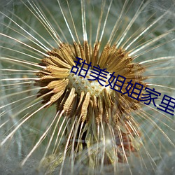 甜美姐姐家裏打遊戲是名字