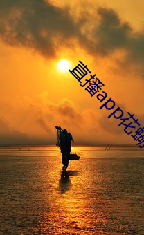 直播app花蝴蝶