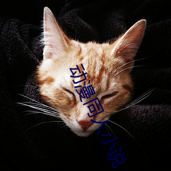 尊龙凯时-人生就是搏!