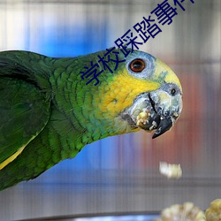 学校踩踏事件新闻视频 （中央处理器）