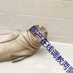 国产在线调教两警花在线视