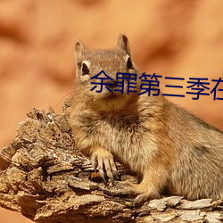 余罪第三季在线观看免费24集 弃置）