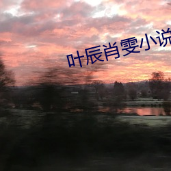 叶辰肖雯小说 （人民检察院）