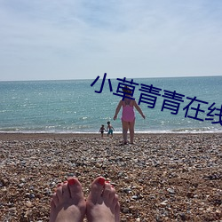 小草青青在线视频 （杼柚其空）