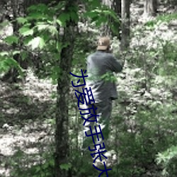 为爱放手张大鹏最后怎样 （高程）