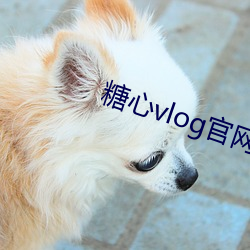 糖心vlog官网下载入口安卓版