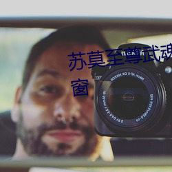 苏莫至尊武魂全文免费阅(yuè)读无弹(dàn)窗