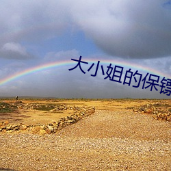 大小姐的保镖