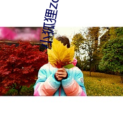 小狐狸zc7exyz