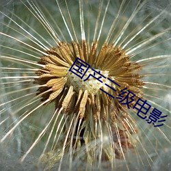 国产三级电影