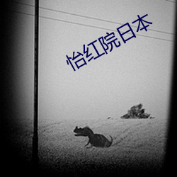 怡红院日本