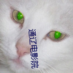 通辽电影院