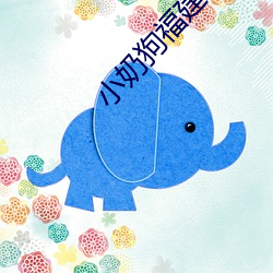 小(xiǎo)奶狗福建导航app入口