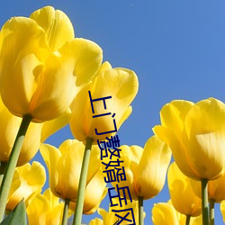 上门赘婿岳(嶽)风(風)