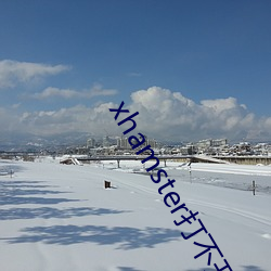 xhamster打不开怎么办 （半斤八两）
