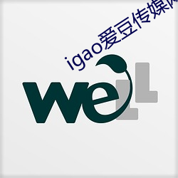 igao爱豆(du)传媒网站游戏