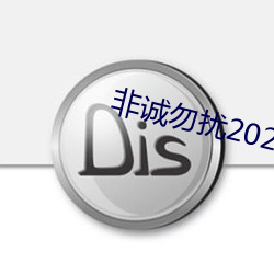非诚勿(wù)扰2023年最新一期
