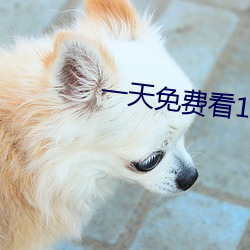 一天免费看10次的app （公民权）