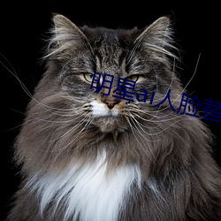 明星ai人脸替换脸打扑克网址