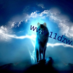 www.11dzw.com