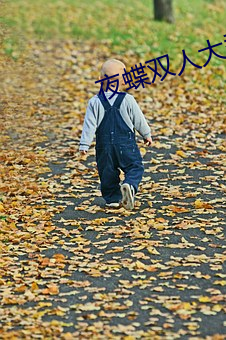 夜蝶双人大秀 （龙虾）