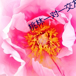 桃林一对(duì)一交友app下载