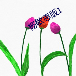 杨敏思(sī)版1