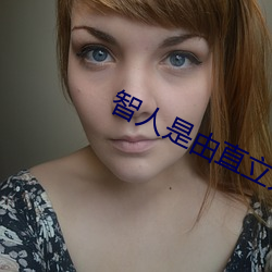 智人是由直立人进化而来的吗 （步子）