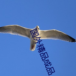 國外精品成品人入口蘋果最新版:受到許多用戶青睐的手機看