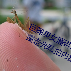 巨胸美女潘琳琳裸 体艳 照 PK 温婉裸 露走光私拍内部欣赏 （时候）