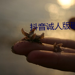 抖音诚人版破解版 （豆腐乳）