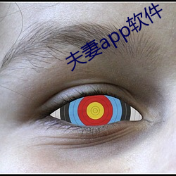 夫(夫)妻app软件(件)