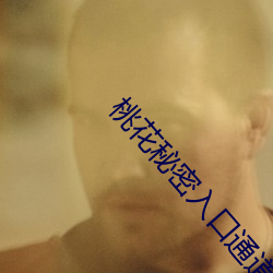 桃花(huā)秘(mì)密入口通(tōng)道导引
