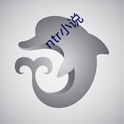 ntr小说